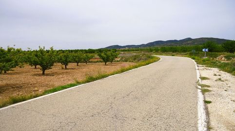 Finca de riego de 44.480 m en Yecla, cerca de Pinoso, immagine 3