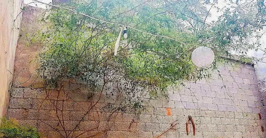 Maison mitoyenne avec terrasse à vendre à El Verger, imagen 3