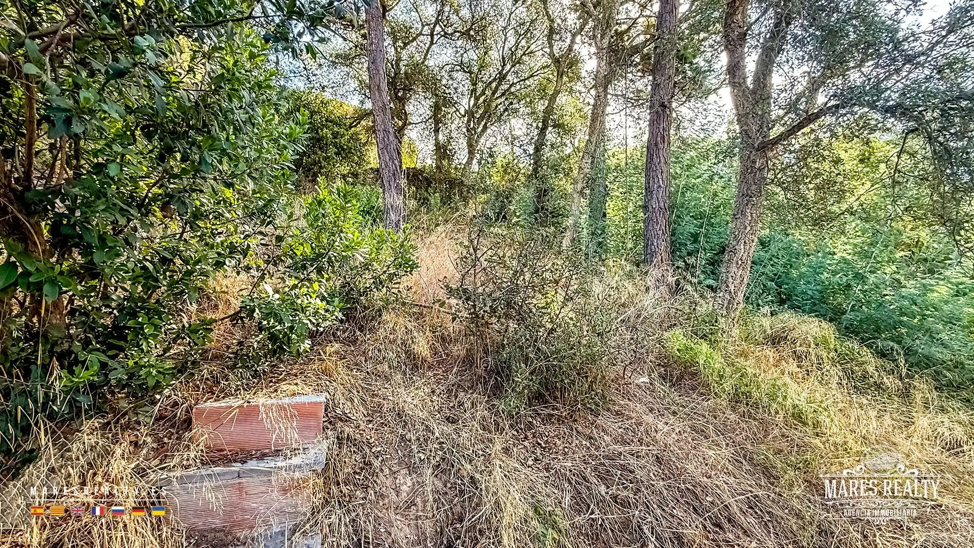 Casa con jardín en venta en Aiguaviva Parc, imagen 50
