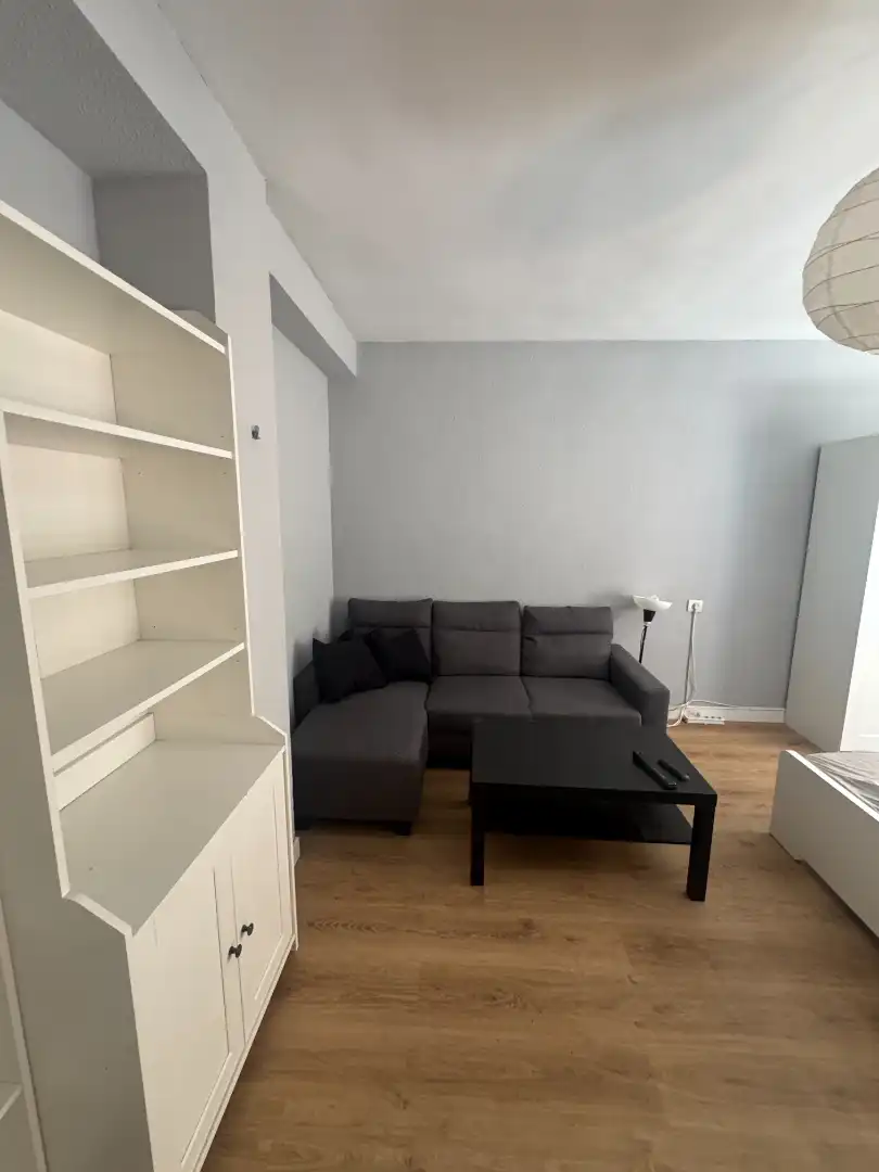 Sala de estar de Piso de alquiler en Salamanca con Calefacción, Amueblado y Horno