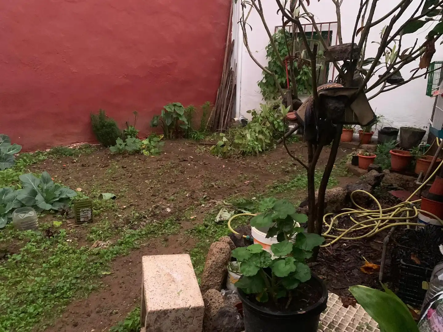 Jardí de Casa adosada en venda en Guía de Isora amb Jardí privat i Terrassa