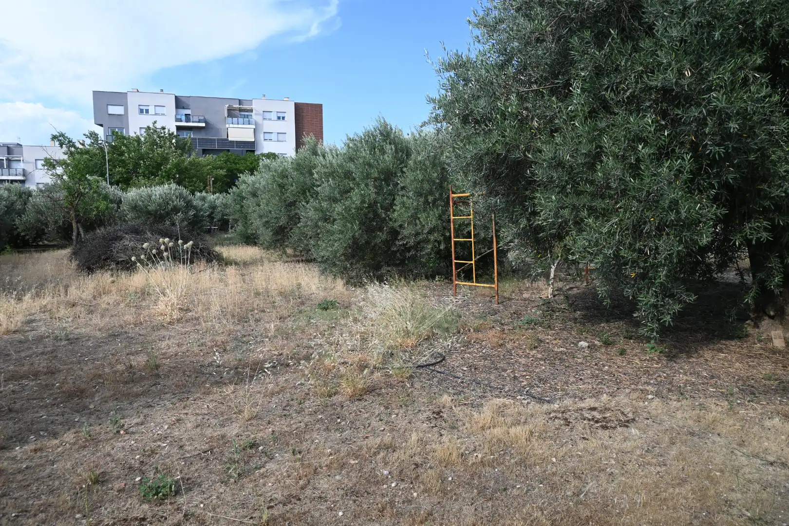 Residencial en venta en Alhendín