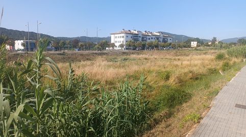 Terrenos en tordera, imatge 3