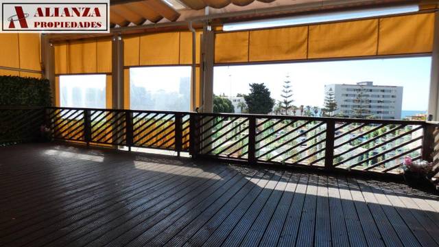 Local comercial en Alquiler en Del Genil en Torremuelle