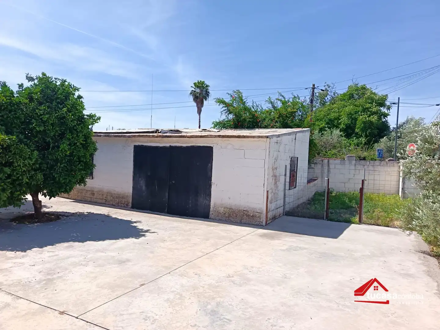 Vista exterior de Finca rústica en venda en Córdoba amb Traster