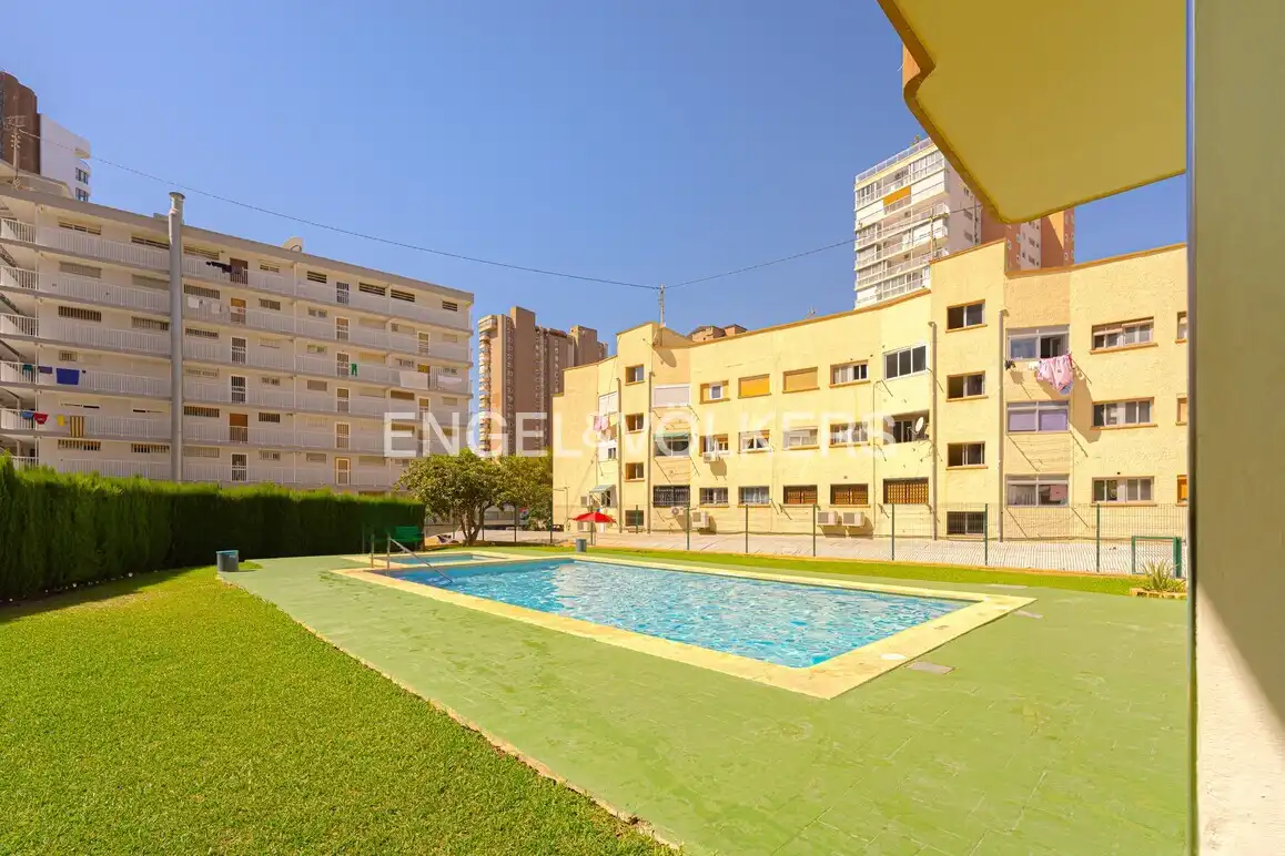 Piscina de Apartamento de alquiler en Benidorm con Terraza, Amueblado y Piscina comunitaria