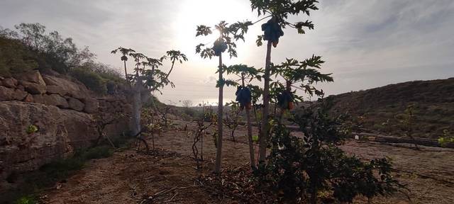 Terreno en Venta en Chimiche