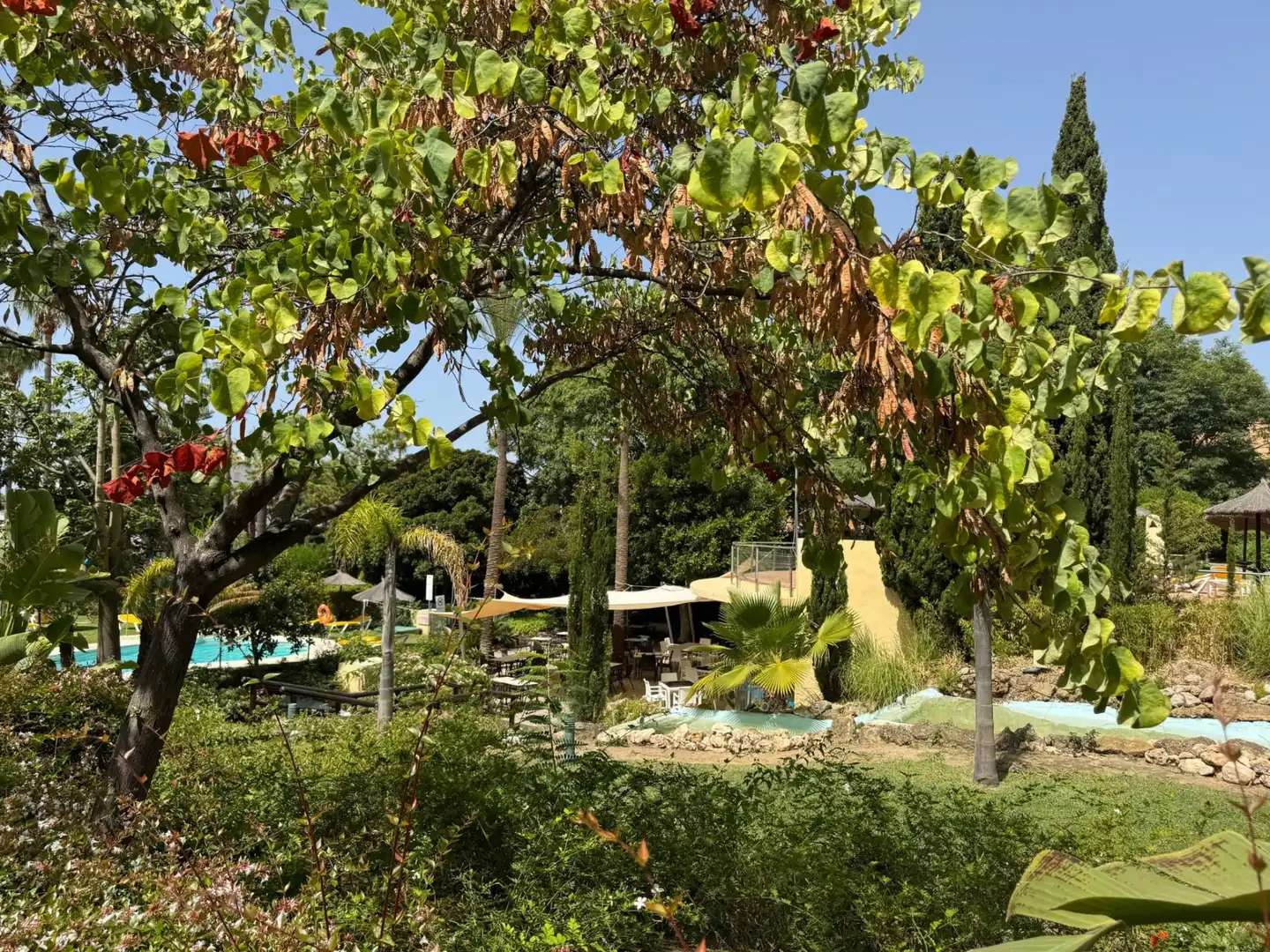 Appartement avec piscine à vendre à Alameda del Mar 2, imagen 15