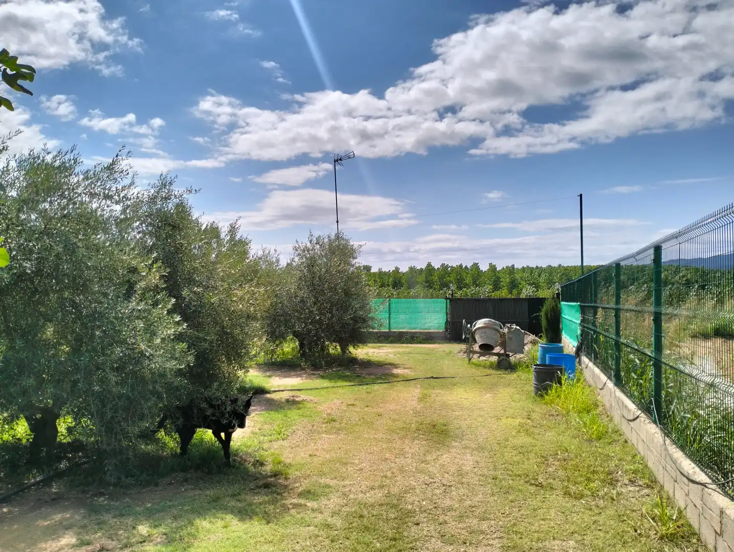 Casa o xalet en venda en Cervià de Ter amb Jardí privat, Terrassa i Balcó