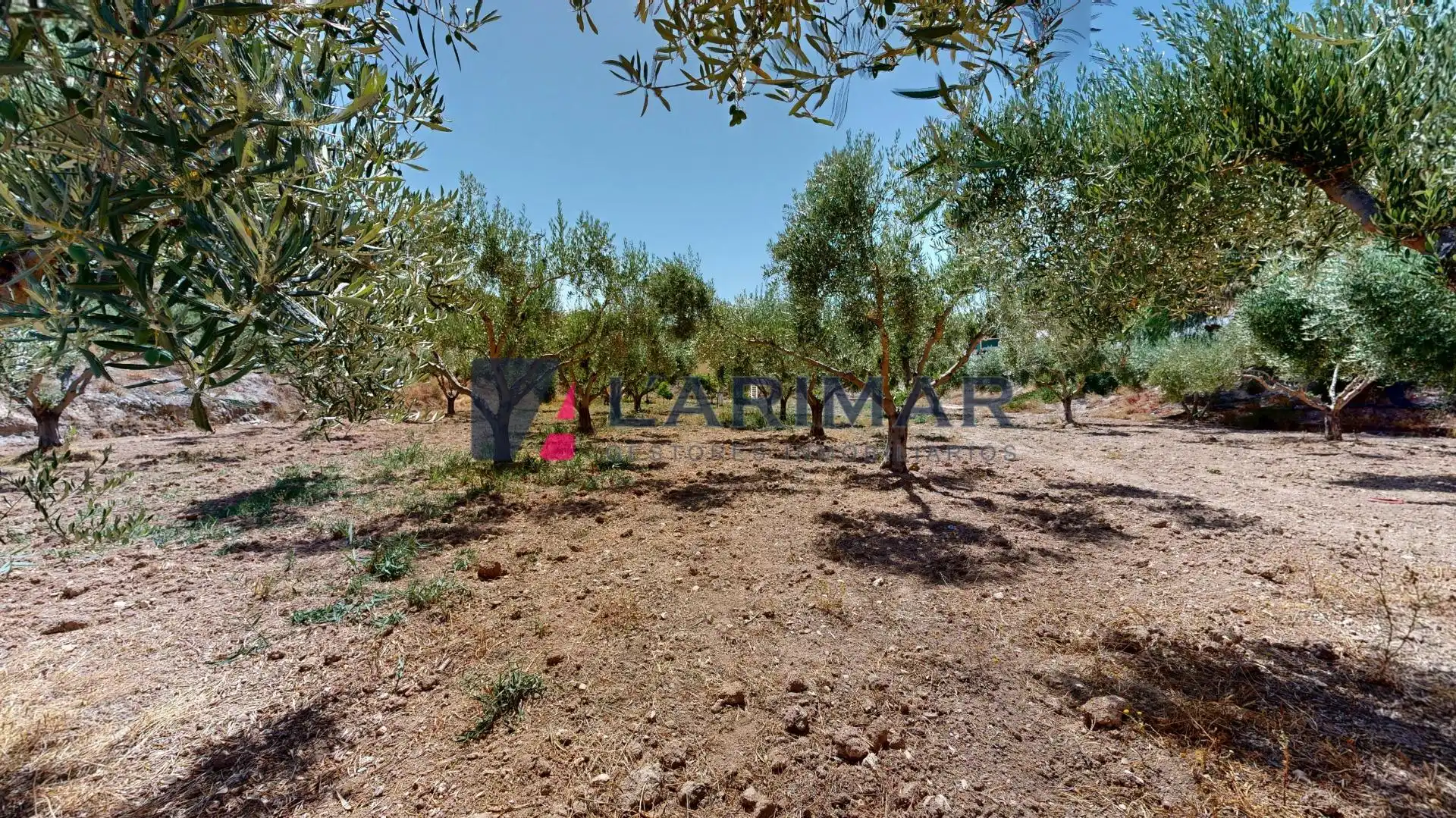Casa o xalet en venda en Aspe amb Aire condicionat, Calefacció i Jardí privat