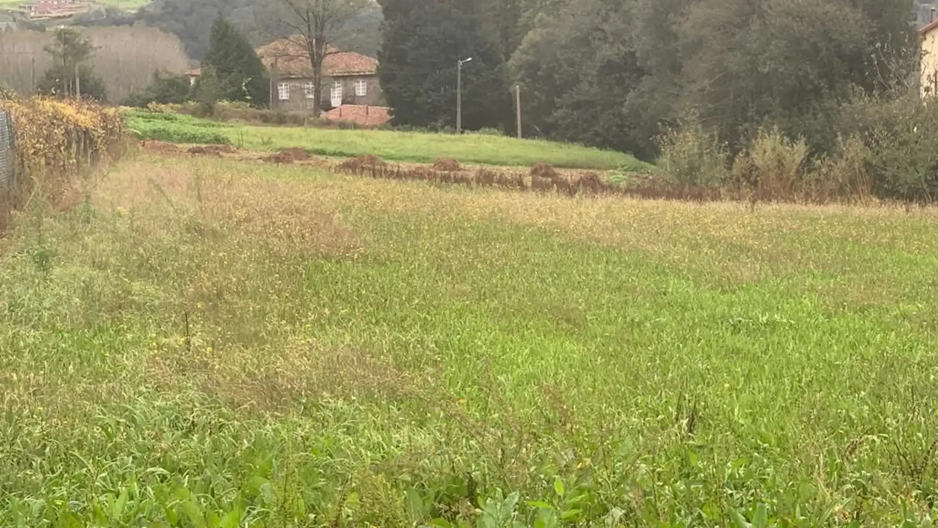 Residencial en venta en Vedra