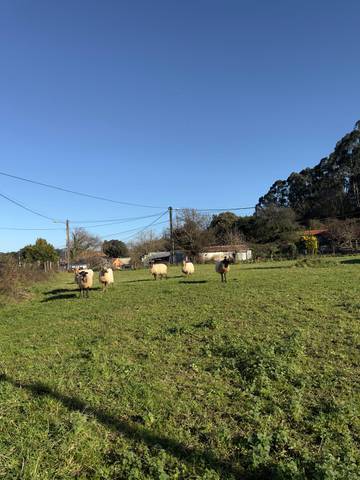 Terreno residencial en Venta en Sámano