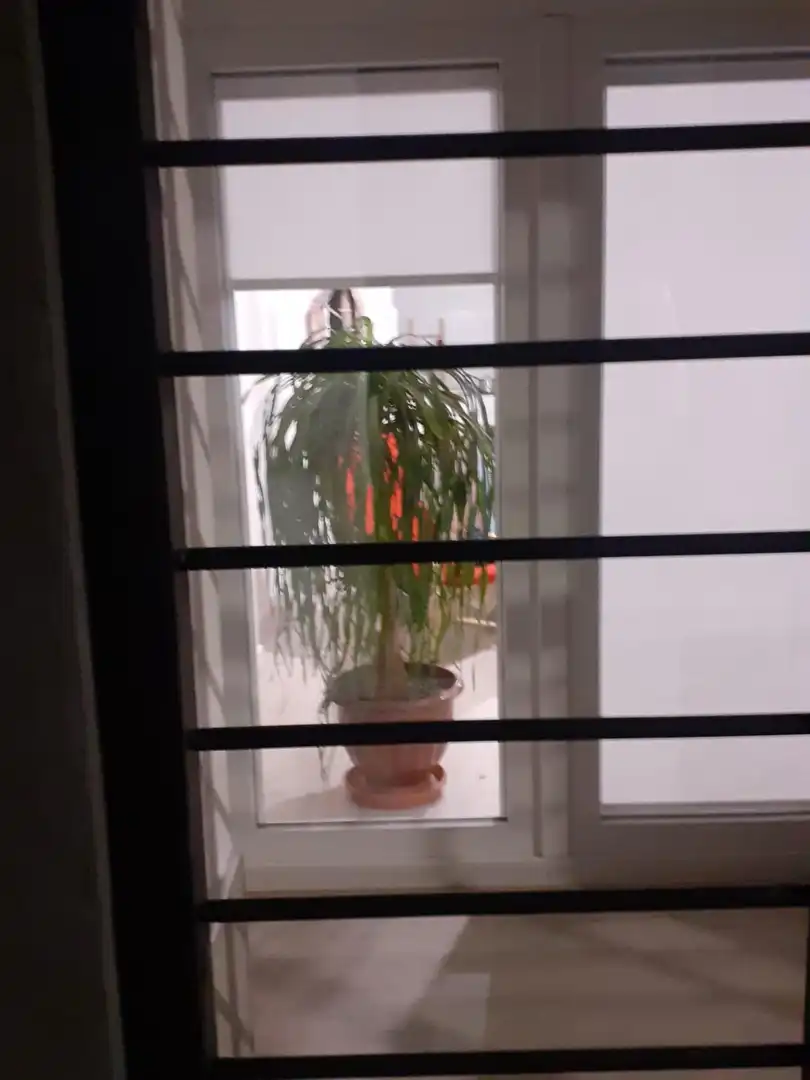 Terrassa de Planta baixa en venda en Castellón de la Plana / Castelló de la Plana amb Aire condicionat, Calefacció i Moblat