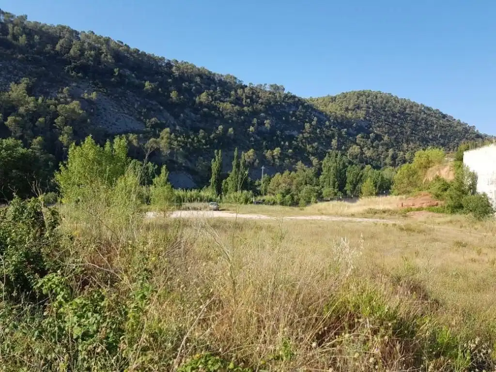 Terreni e lotti in vendita a Numancia (La), imagen 7
