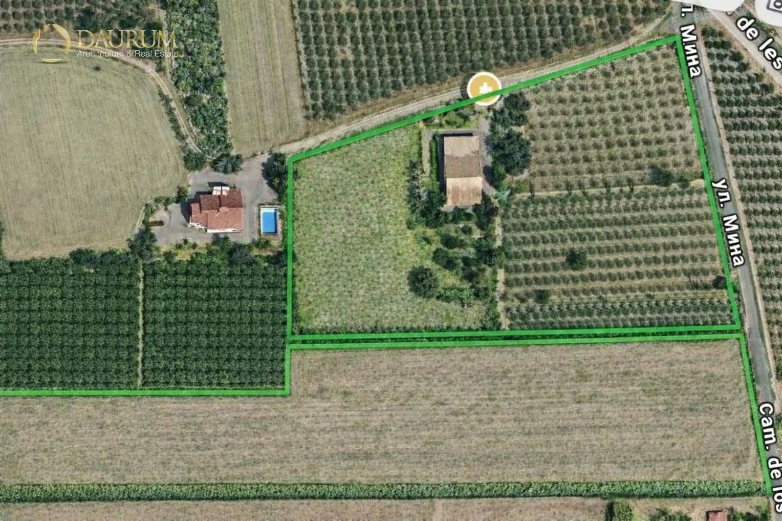 Casa o xalet en venda en Elche / Elx amb Aire condicionat i Terrassa