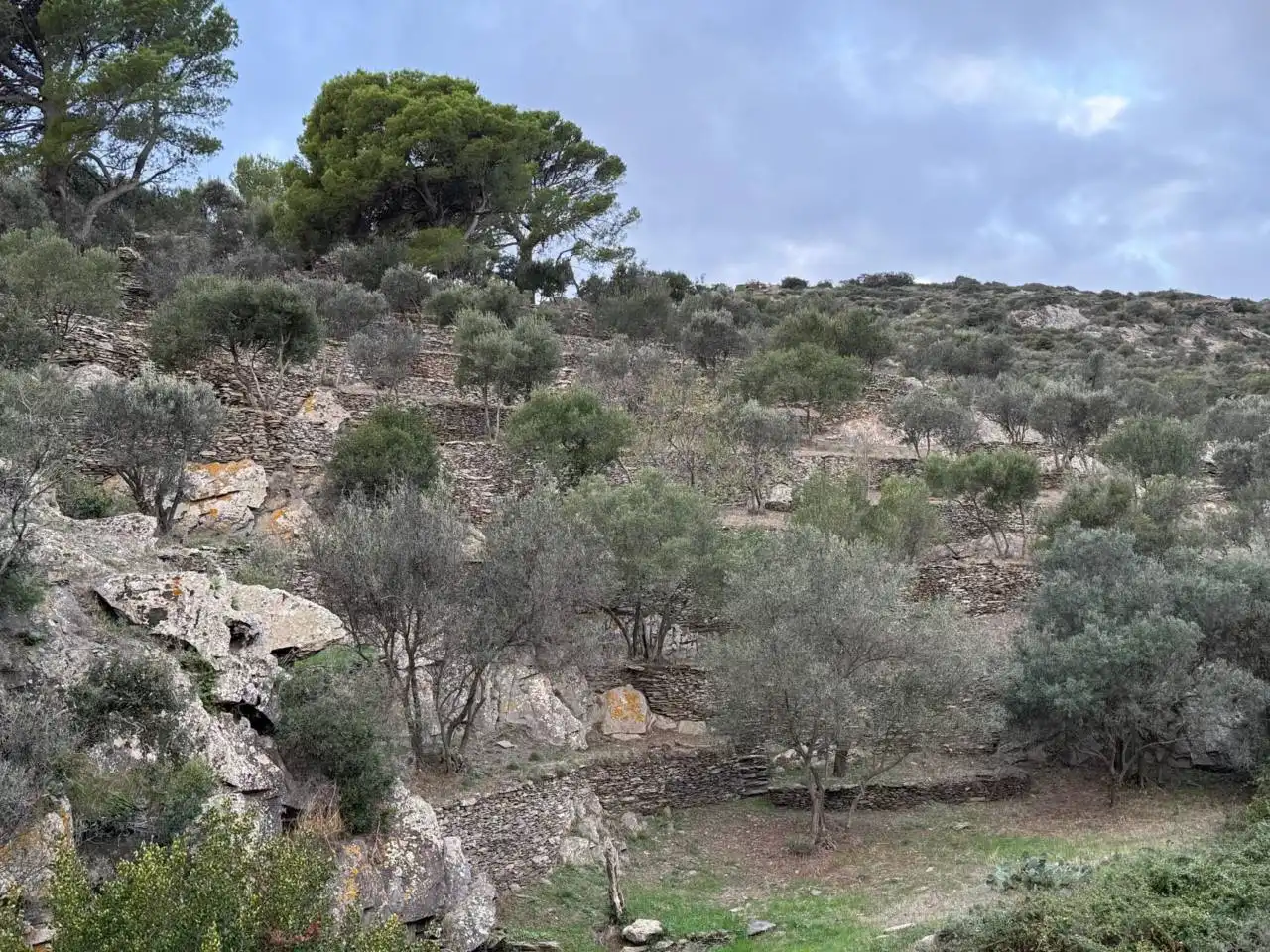 Rural land for sale in Cadaqués, imagen 11