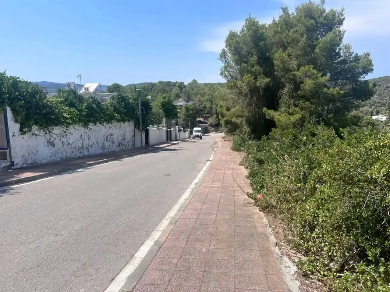 Terreno rústico en venta en Calle Mont Rodó, imagen 8