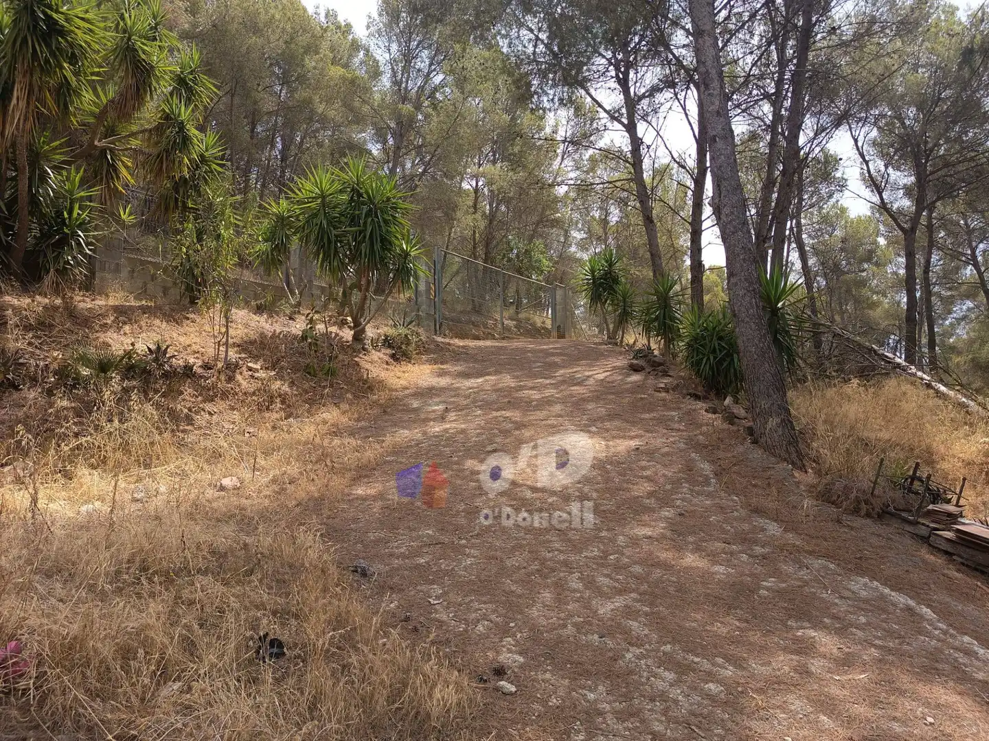 Casa amb jardí en venda a Sant Climent de Llobregat, imagen 14