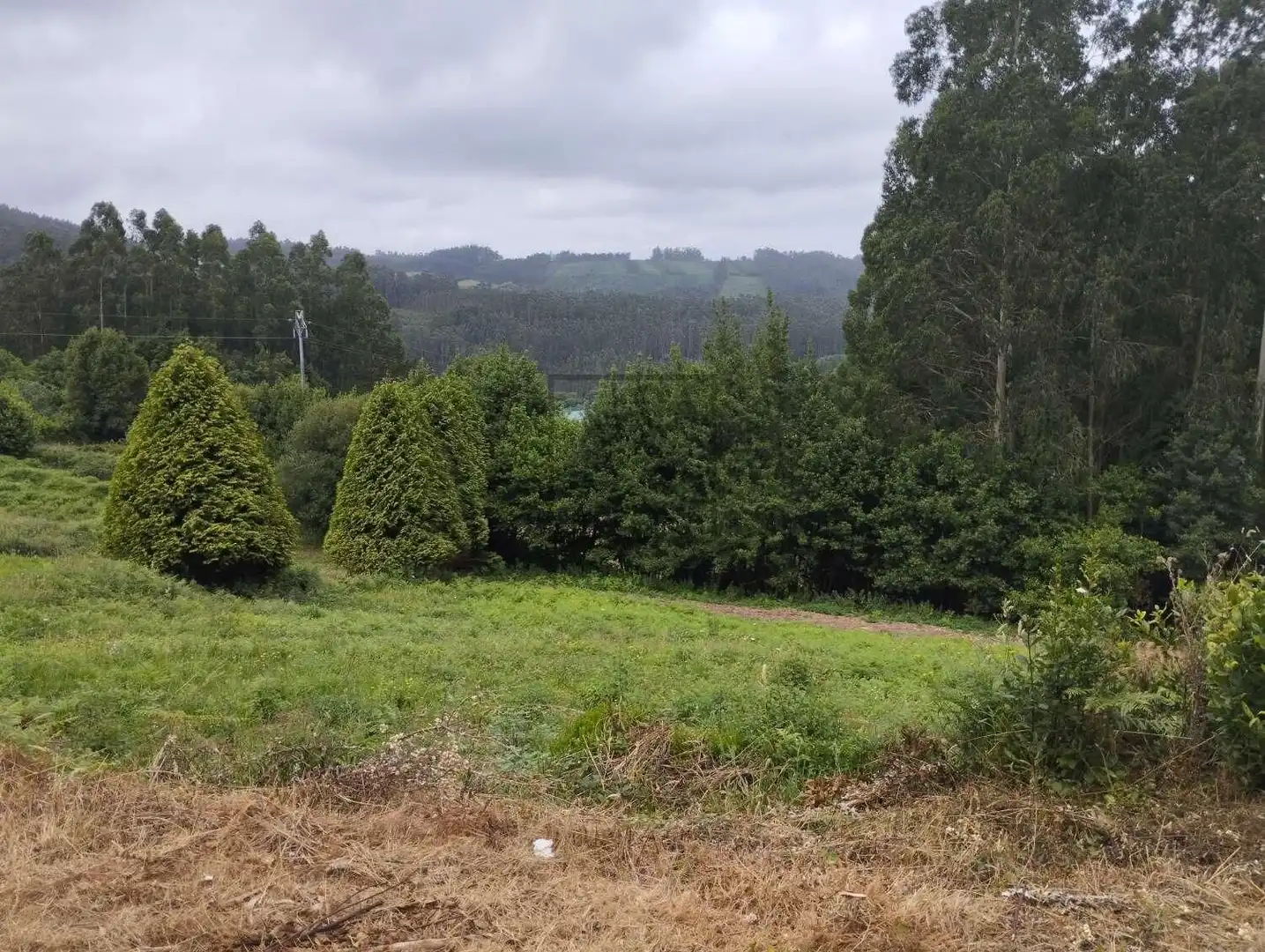 Casa o xalet en venda en Cerdido amb Jardí privat