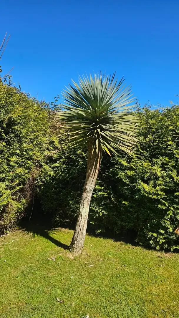 Jardí de Casa o xalet de lloguer en Oleiros amb Calefacció