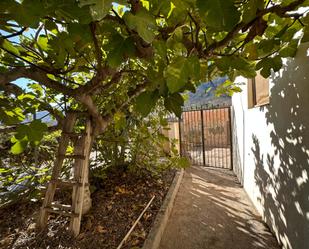 Jardí de Finca rústica en venda en Illar