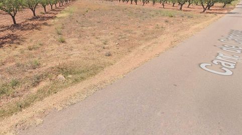 FINCA RUSTICO SECANO EN VILLAFAMES ACCESO POR CAMINO ASFALTADO, immagine 4