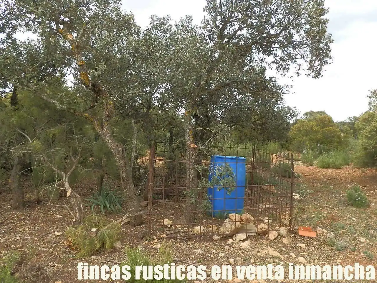 Terreno rustico in vendita a Ruidera, imagen 7