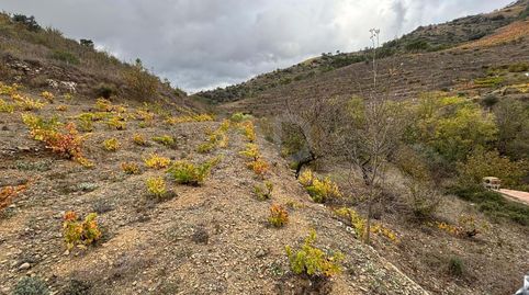 Foto 2 de Terreny en venda a Porrera, Tarragona