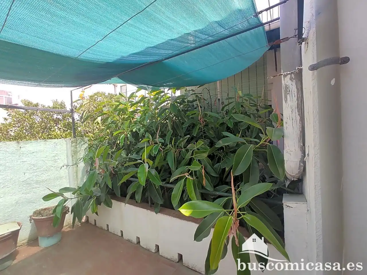 Casa amb terrassa en venda a Del Marqués De Linares, imagen 49