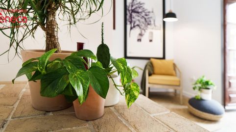 Foto 2 de Casa o chalet en venta en Santa Maria de Gracia, Sta. Marina - San Andrés - San Pablo - San Lorenzo, Córdoba Capital