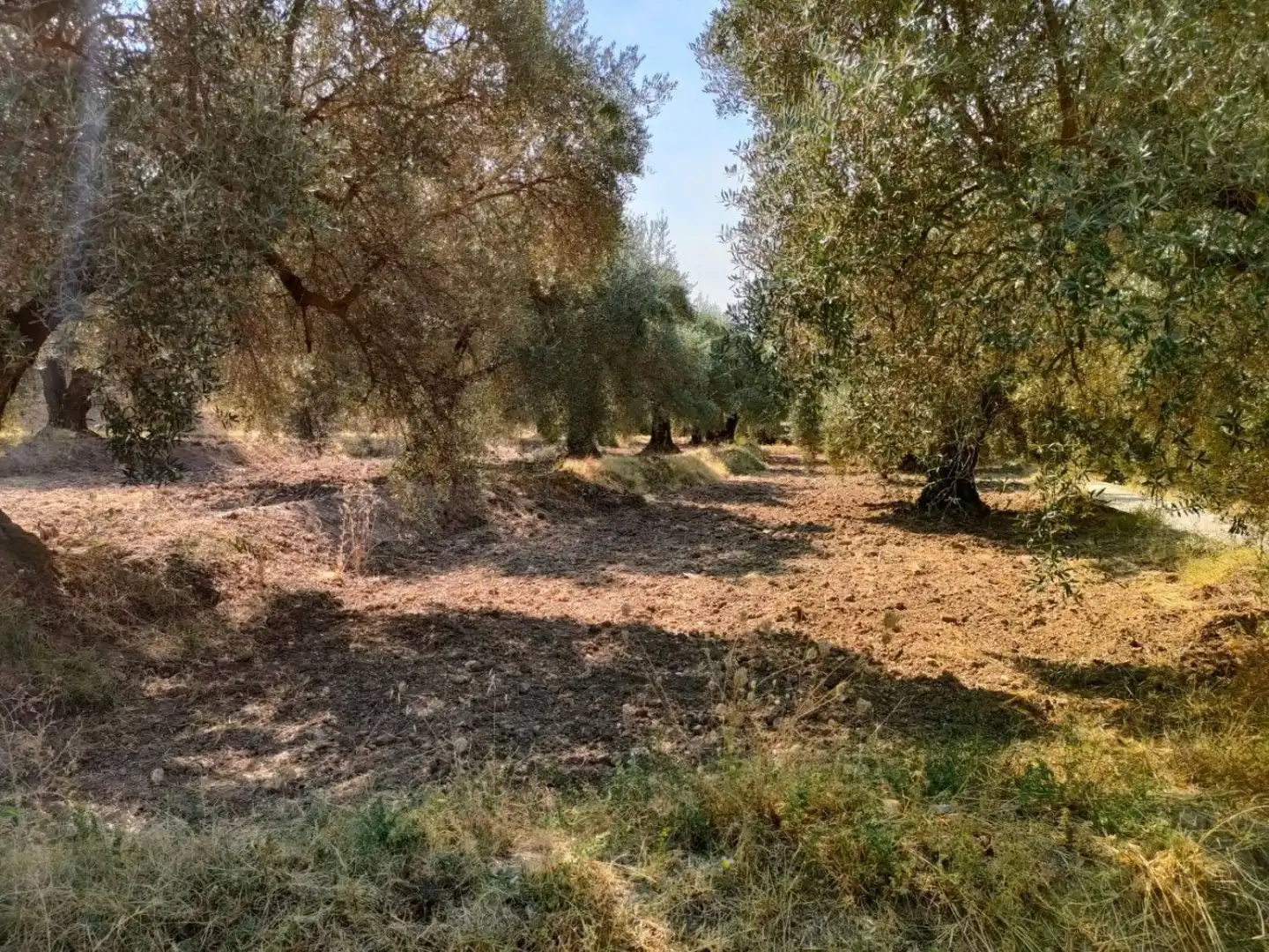 Grundstücke und Bauplätze zum Verkauf in Ugíjar, imagen 4