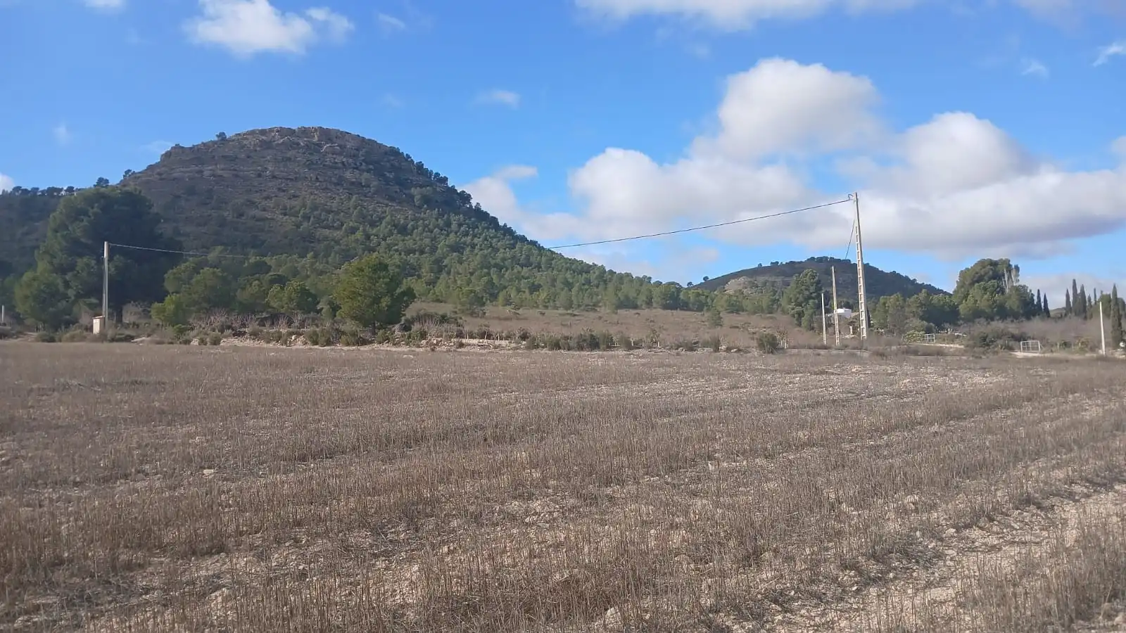 Residential land for sale in Yecla, imagen 17