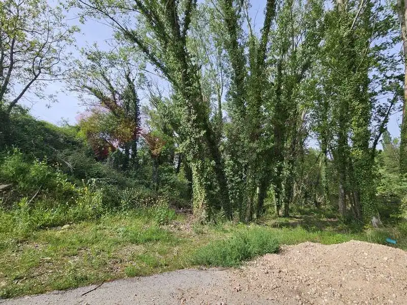 Terreno rústico en venta en La Rioja-256, imagen 4