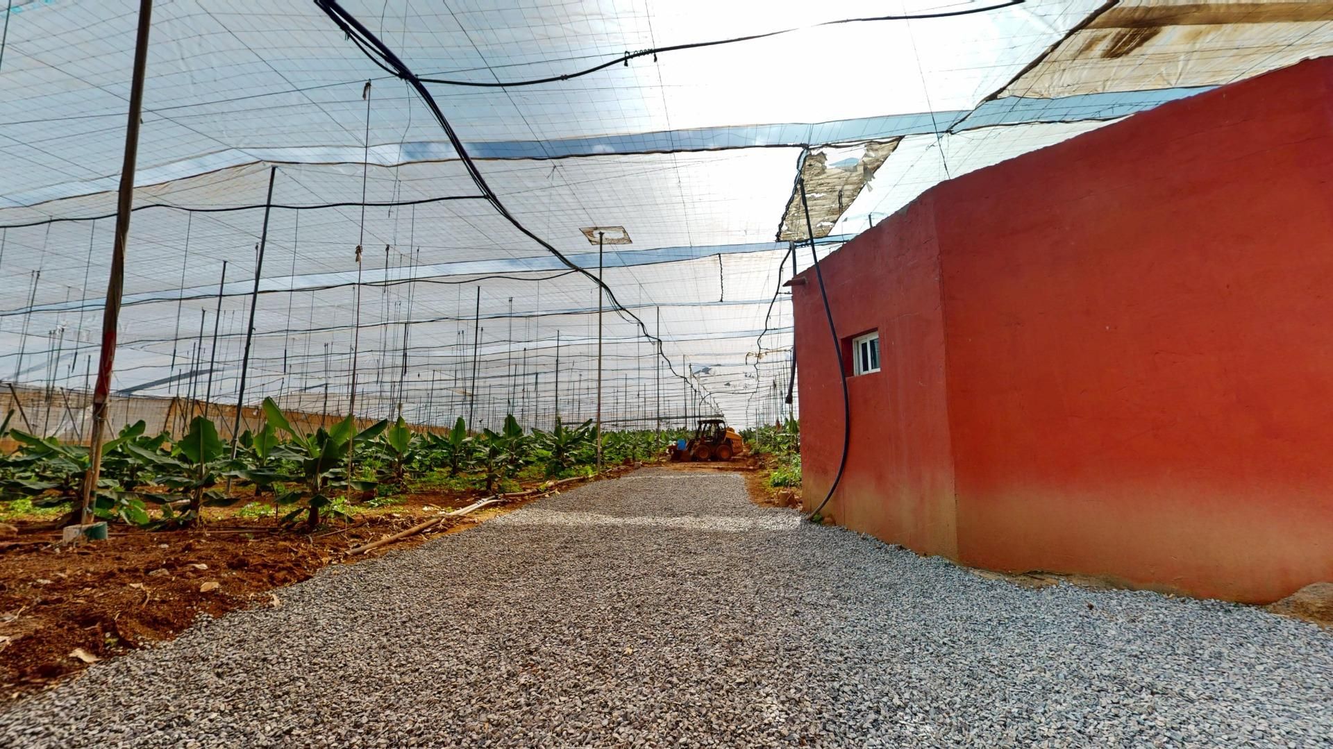 Jardí de Casa o xalet en venda en Gáldar amb Aire condicionat, Jardí privat i Terrassa