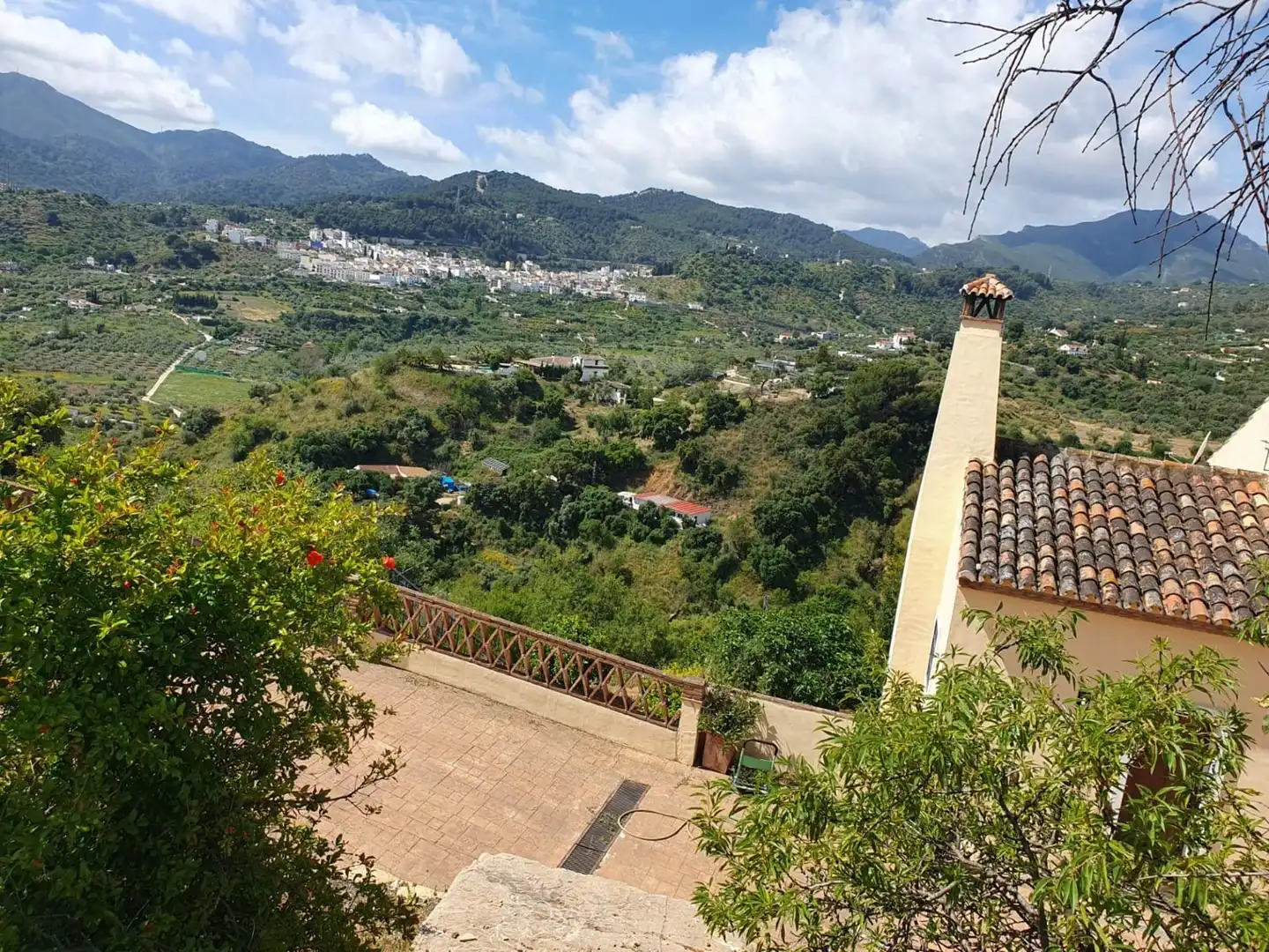 Country homes for sale in Monda