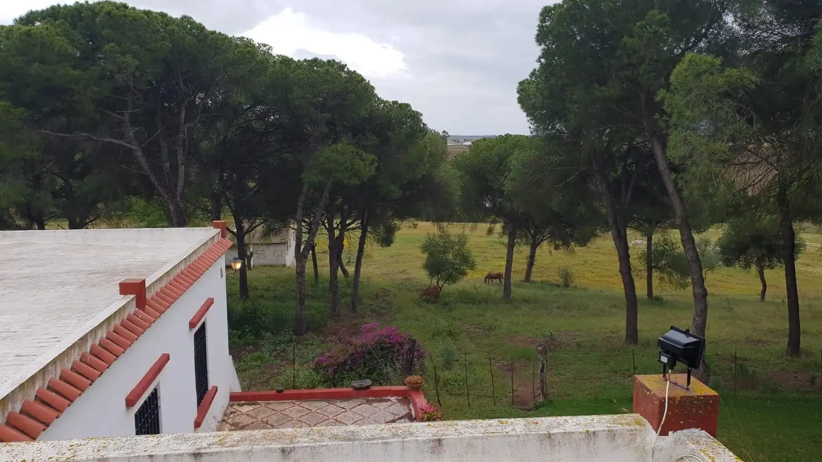 Terreni e lotti in vendita a La Puebla del Río, imagen 11