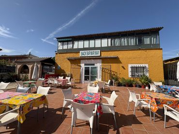 Villa avec jardin à vendre à Avenida de Madrid
