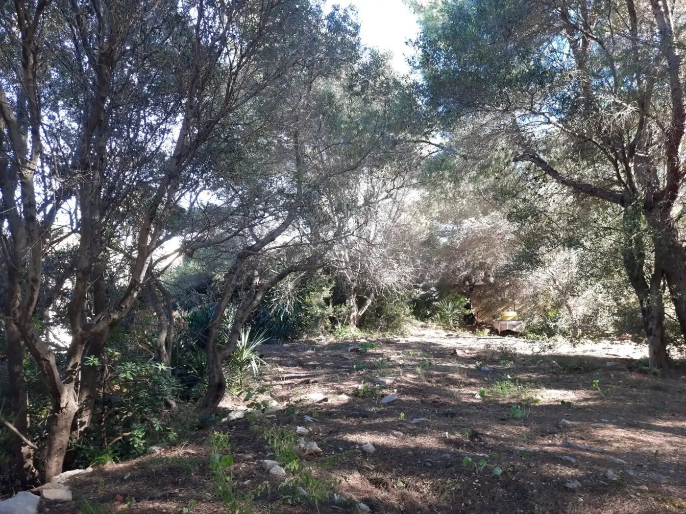 Grundstücke und Bauplätze zum Verkauf in El Montgó, imagen 9