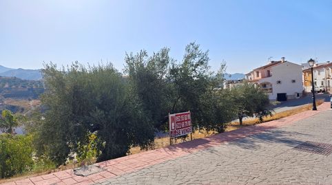 IMF GESTIÓN DE INMUEBLES vende parcelas urbanas en Viñuela