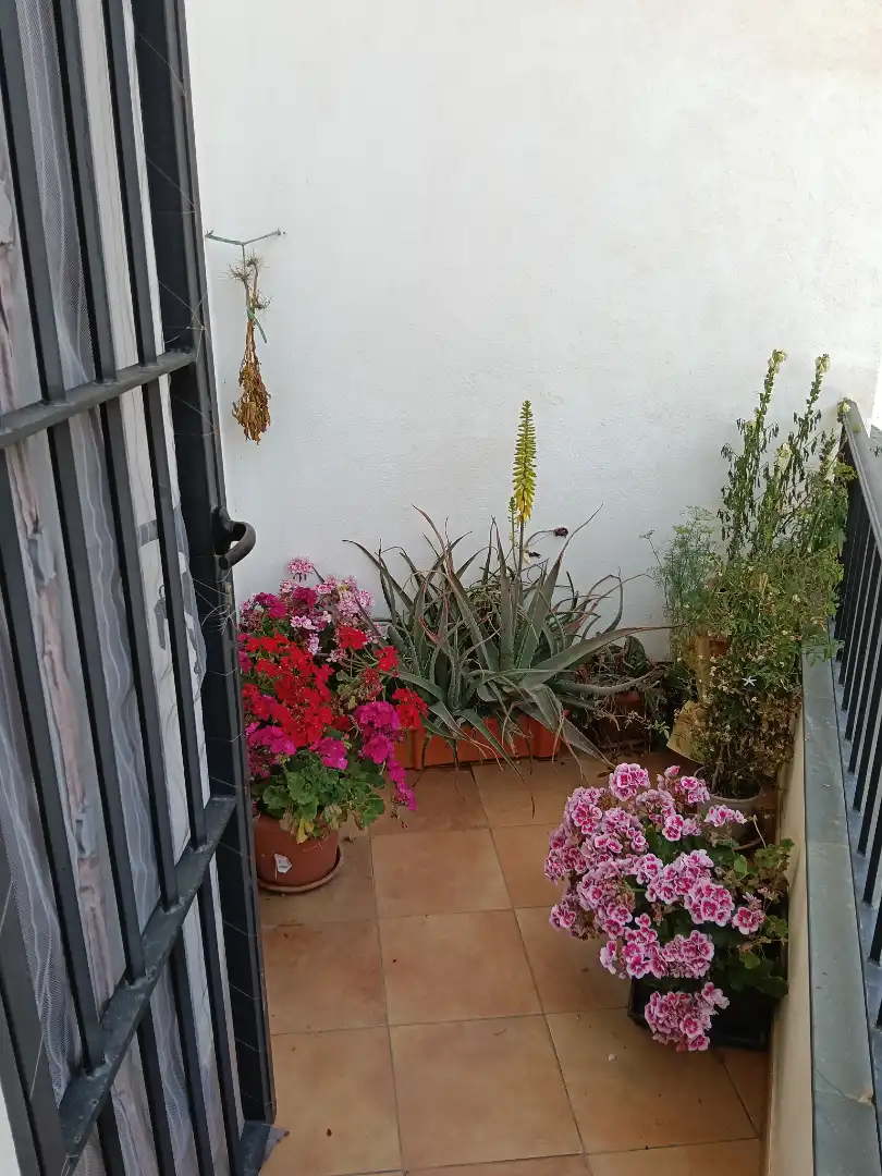 Balcony of Apartments for sale in Alpujarra de la Sierra  with Heating, Terrace and Storage room