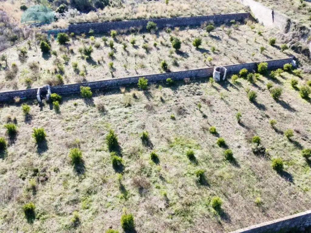 Terreny rústic en venda a Les hortes, imagen 9