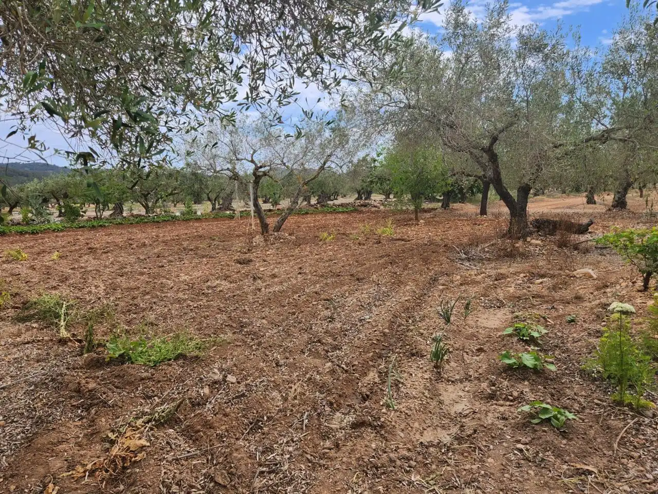 Casa rustica con giardino in vendita a Burgà, imagen 19