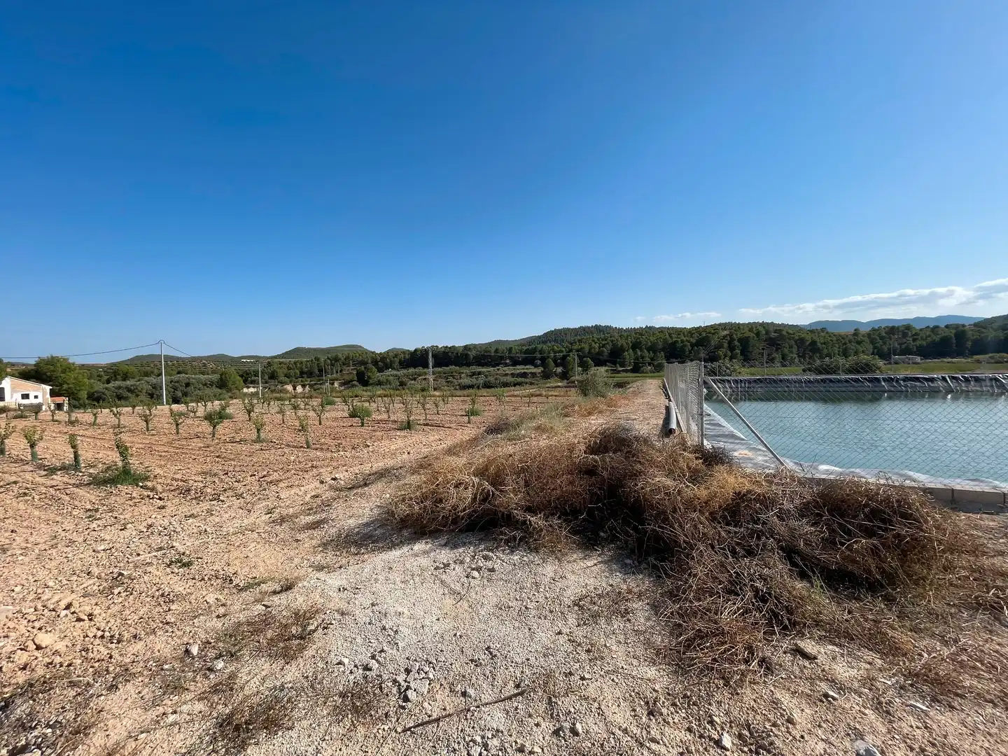 Terreno rustico in vendita a Cehegín, imagen 4