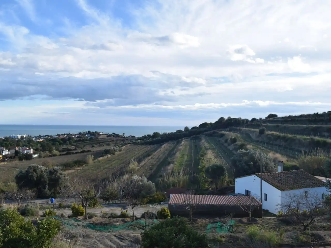 Maison avec jardin à vendre à Camí Baix de Tiana 0