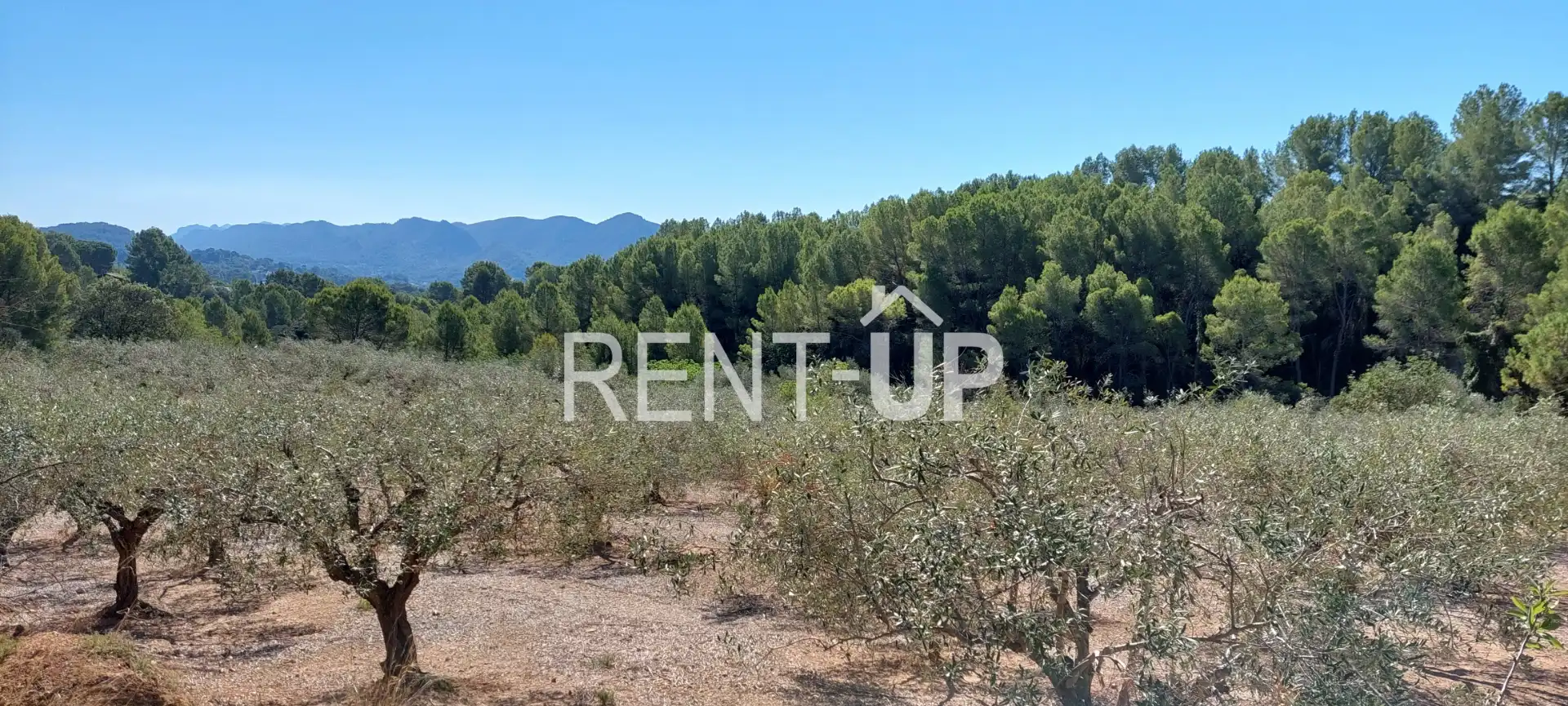 Terreny rústic en venda a Xàtiva, imagen 5
