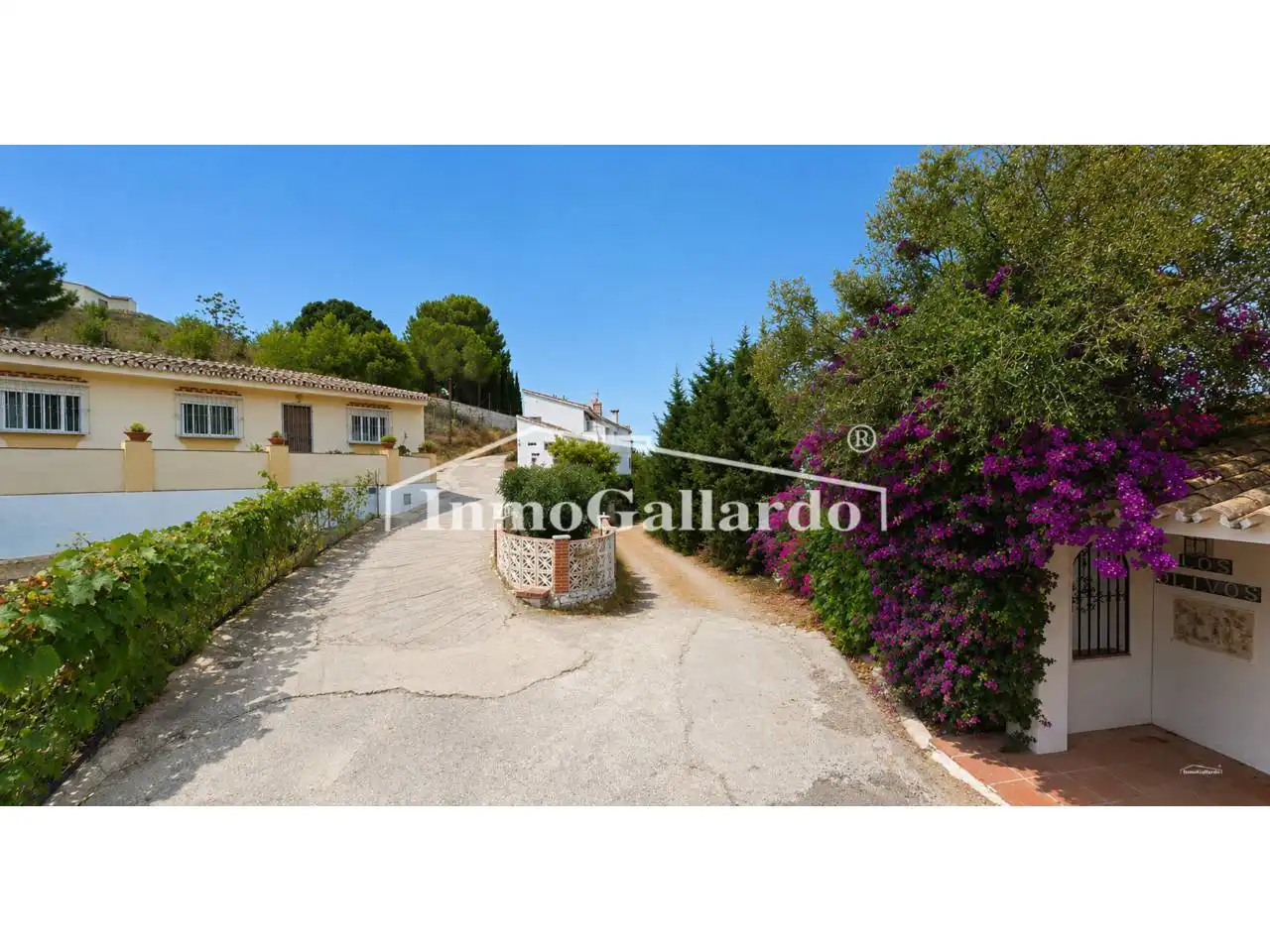 Casa con piscina en venta en Calle Espartales, imagen 3