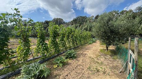 Foto 4 de Finca rústica en venda a Avinguda Sant Daniel, 43, Mas Mora - Sant Daniel, Barcelona