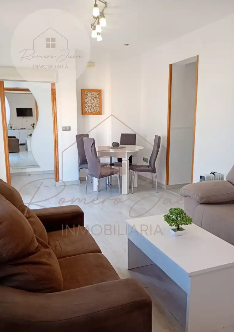 Sala d'estar de Pis de lloguer en  Jaén Capital amb Aire condicionat i Moblat