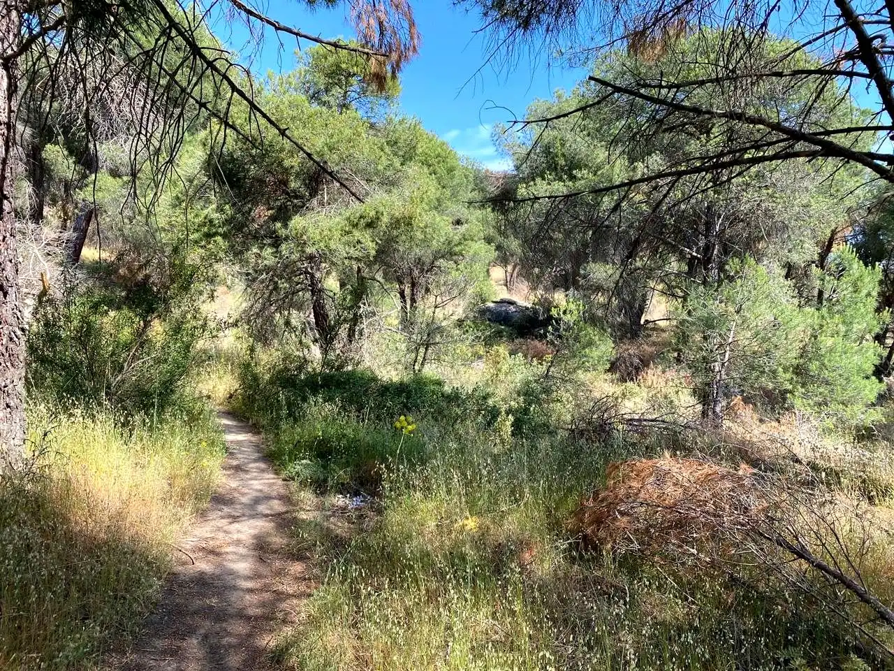 Terreny rústic en venda a Navahoncil, imagen 14