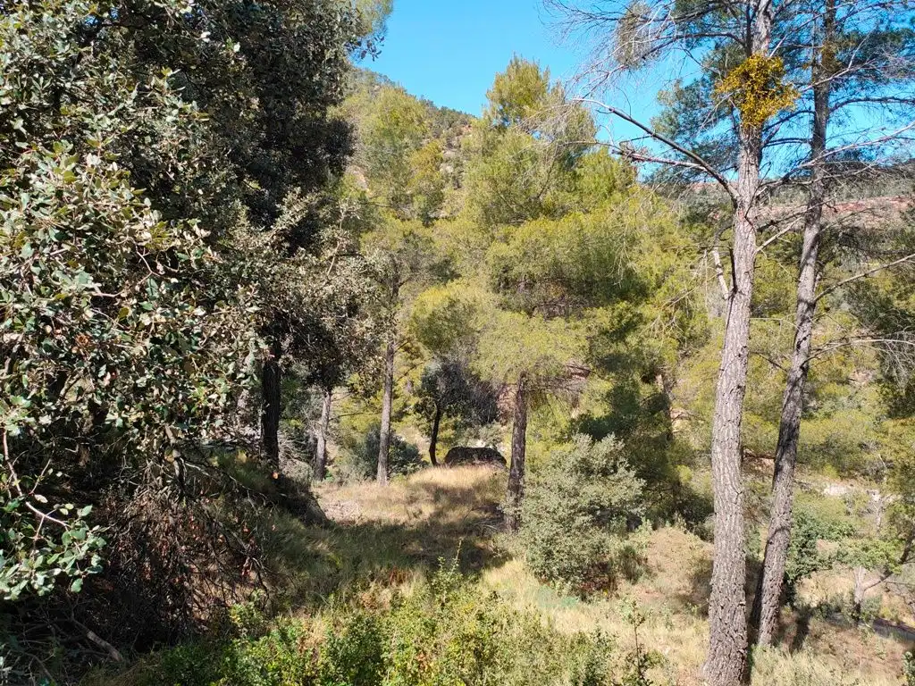 Terreni e lotti in vendita a Ráfales, imagen 5